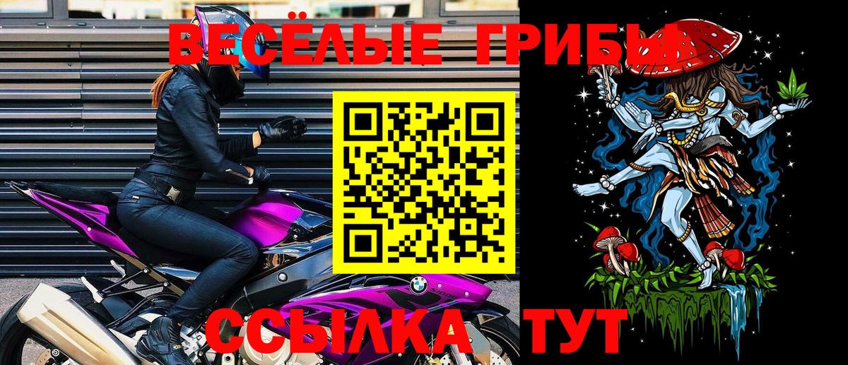 Псилоцибиновые грибы Psilocybe  Вход с VPN  Галлюциногенные грибы MAGIC MUSHROOMS  Алексин 